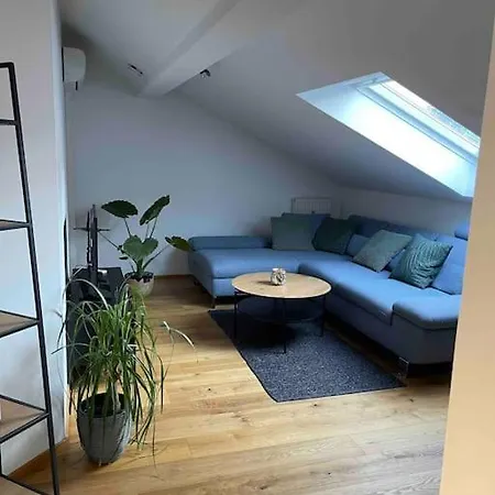 Modernes Loft In Apartment Passau